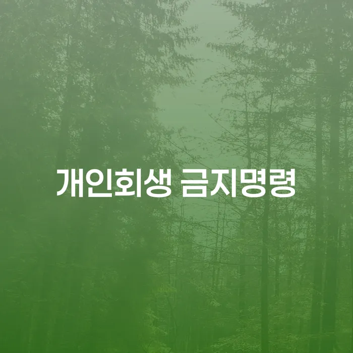 개인파산 개인회생으로 현명하게 해결 할 수 있을까?