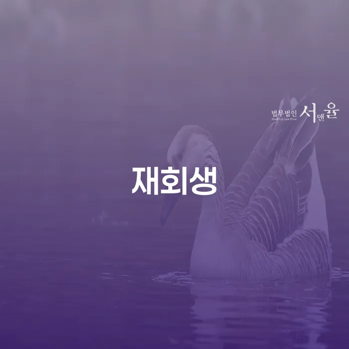 당진시 개인회생인가 개인회생으로 해결 잘 하는 변호사