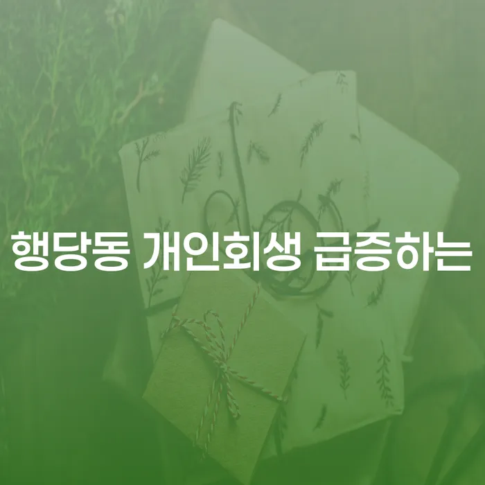 행당동 개인회생 급증하는