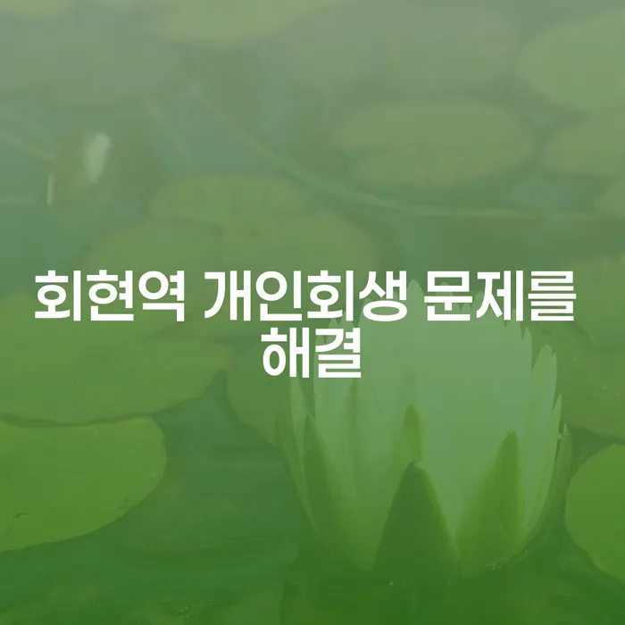 회현역 개인회생 문제를 해결