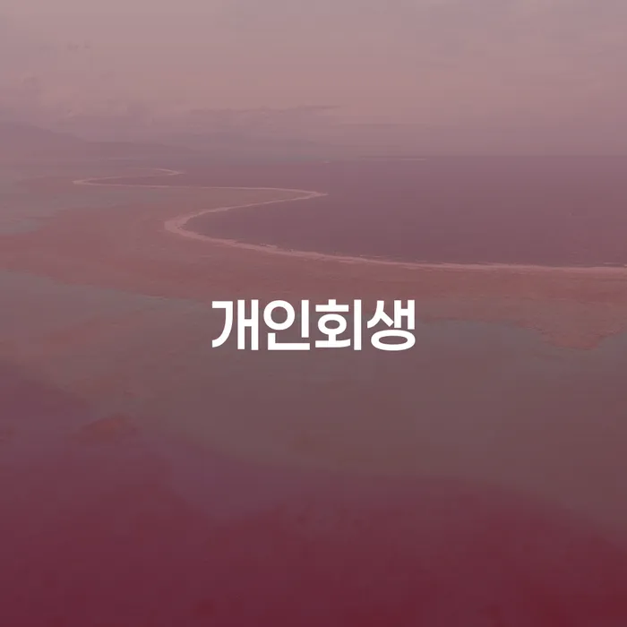 남영동 개인회생 절차를 통한 채무 해결의 길