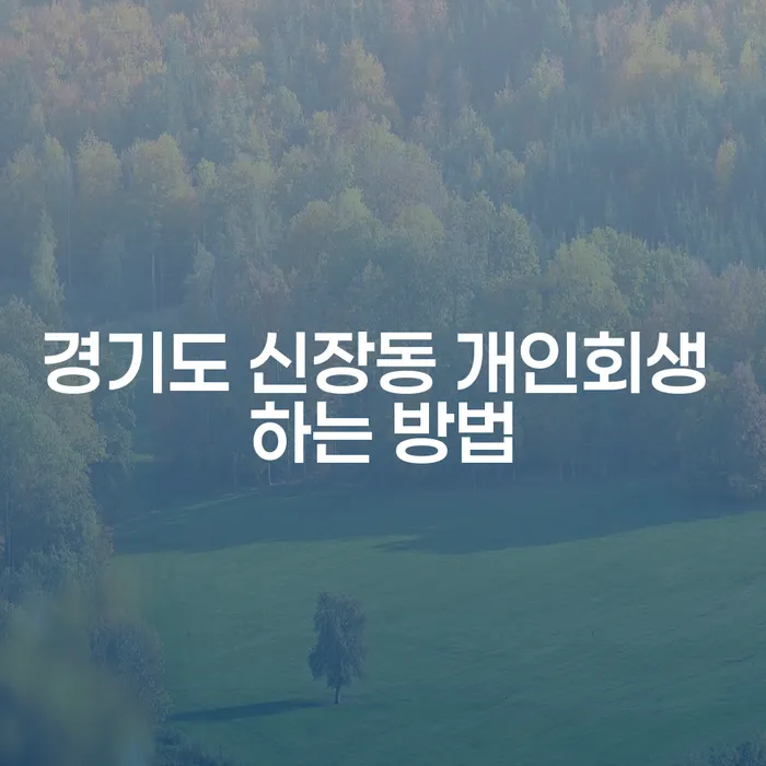 경기도 신장동에서 개인회생을 시작하는 방법은 무엇인가요?