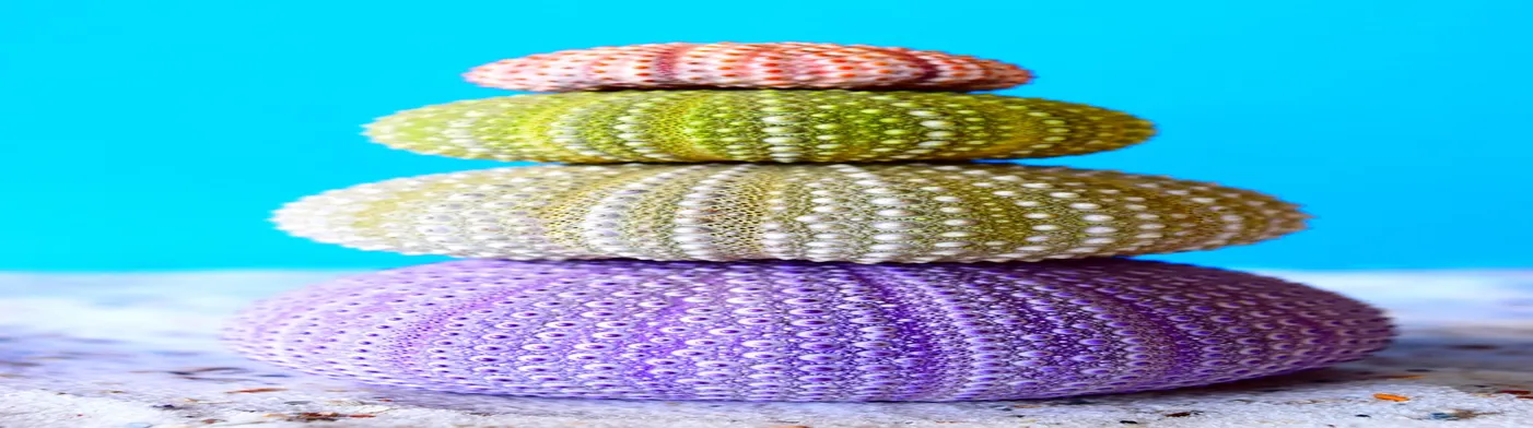 법무법인 서앤율